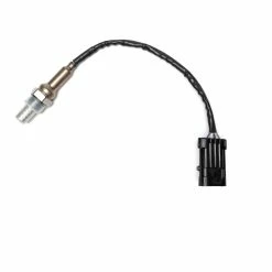 Oxygen Sensor, Taurus 450