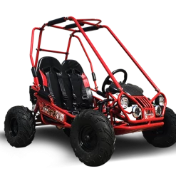 TrailMaster MINI XRX+ Go-Kart