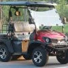 TrailMaster Taurus 50EV UTV