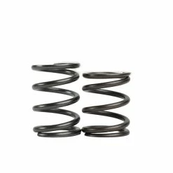 JT94 Tillotson Valve Spring Set