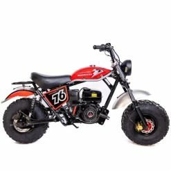 TrailMaster shop 27 TrailMaster Hurricane 200X Minibike