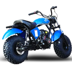 TrailMaster MB200-2 Minibike -TrailMaster shop MB200.6 22190.1675358825